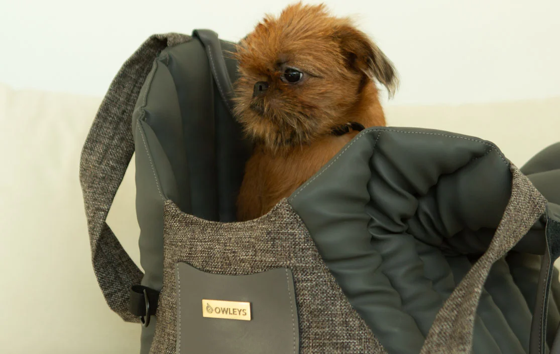 Tibetan Spaniel Dog Carrier Car Seat for Lexus NX