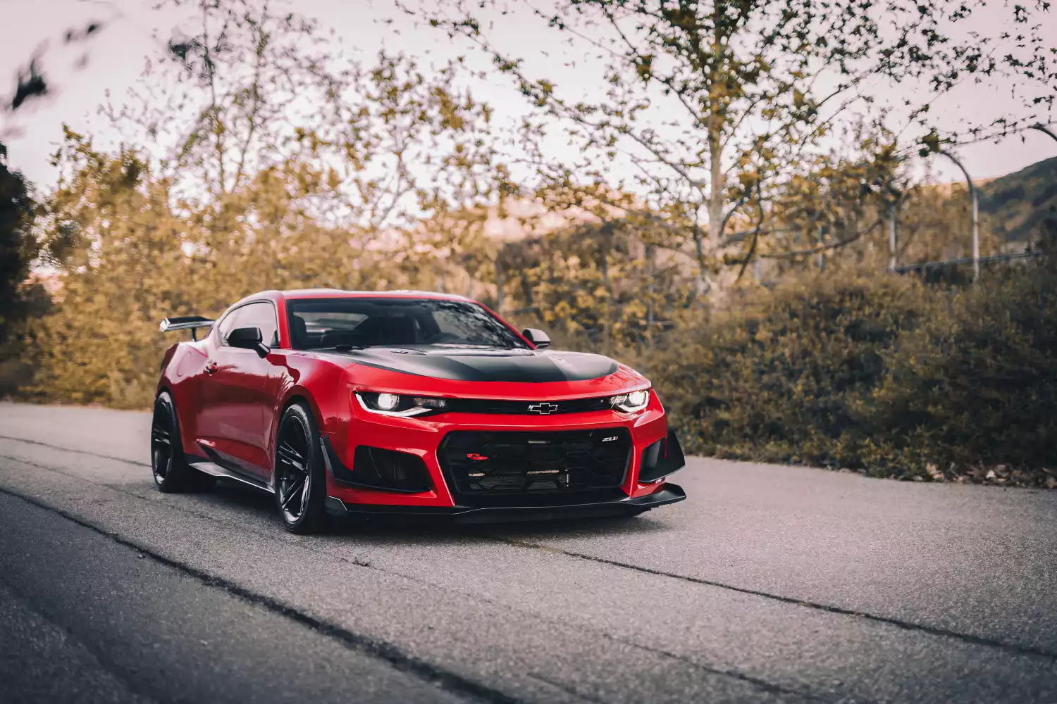 Chevrolet Camaro back seat organizer